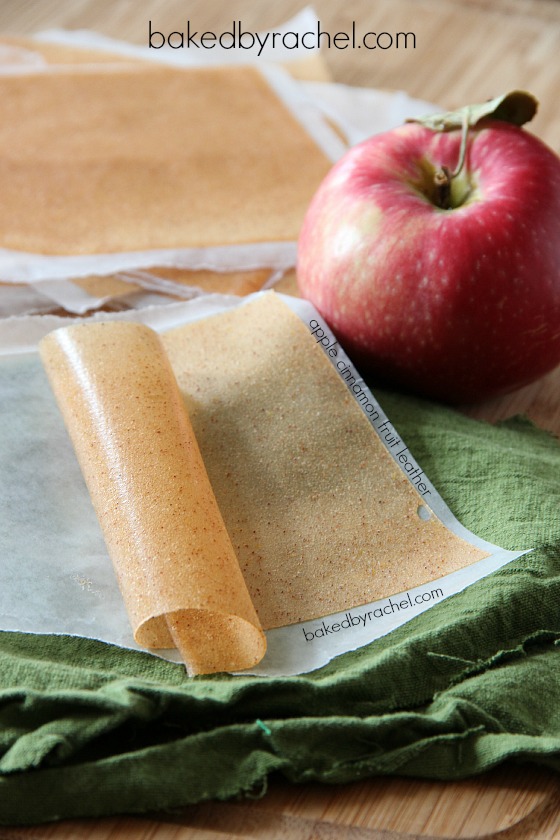 Apple Cinnamon Fruit Leather Recipe from bakedbyrachel.com