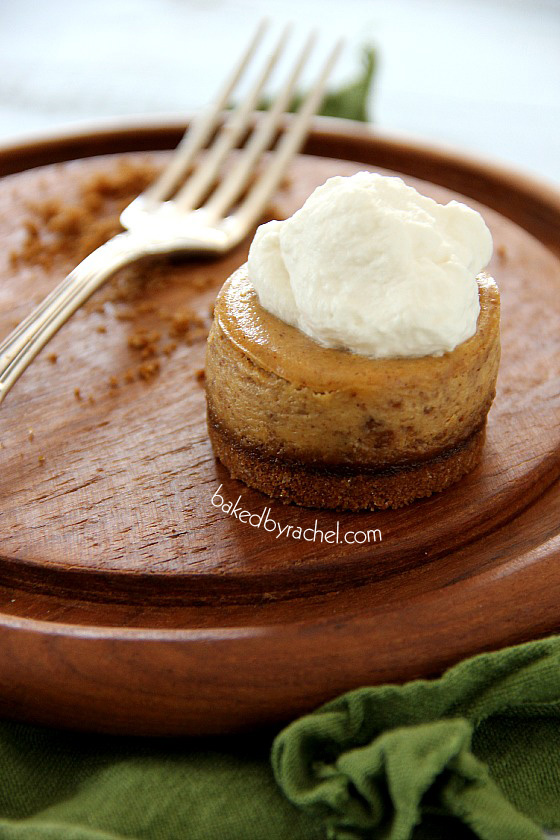 Mini Pumpkin Cheesecakes with Gingersnap Crust Recipe from bakedbyrachel.com