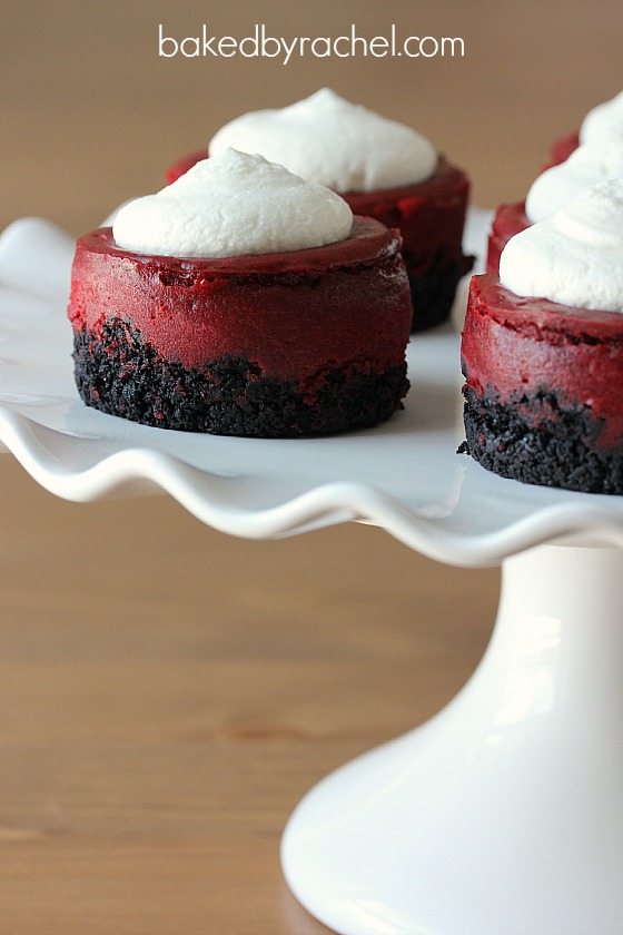Mini Red Velvet Cheesecake Recipe from bakedbyrachel.com