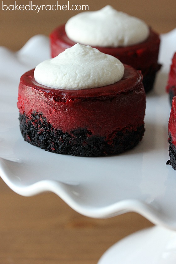 Mini Red Velvet Cheesecake Recipe from bakedbyrachel.com