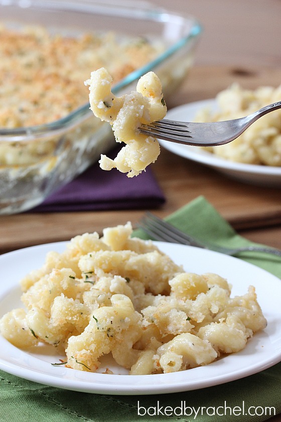 Two Cheese Macaroni Recipe from bakedbyrachel.com