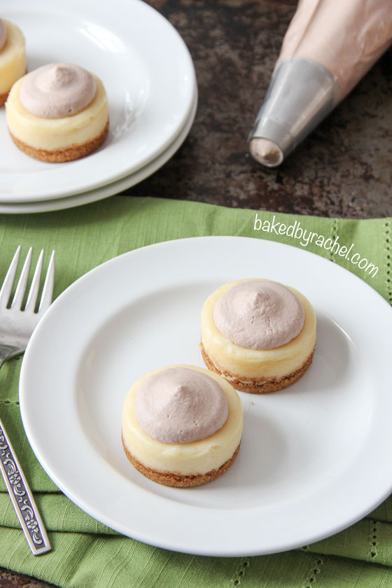 Mini Baileys Cheesecakes with Chocolate Whipped Cream Recipe from bakedbyrachel.com