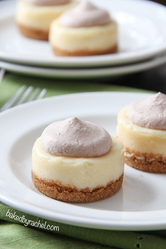 Mini Baileys Cheesecakes with Chocolate Whipped Cream Recipe from bakedbyrachel.com