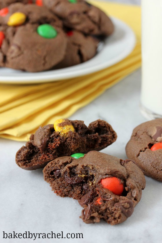 Salted Double Chocolate M&M Cookies Recipe from bakedbyrachel.com