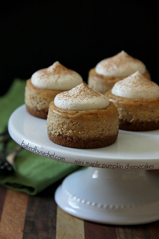 Maple Pumpkin Mini Cheesecakes with Brown Sugar Maple Whipped Cream Recipe from bakedbyrachel.com