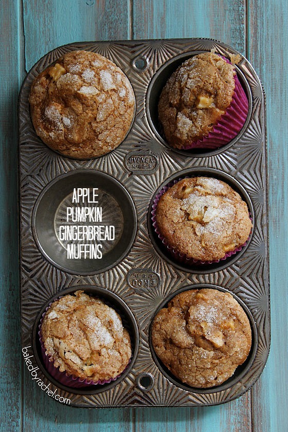 Apple Pumpkin Gingerbread Muffin Recipe from bakedbyrachel.com