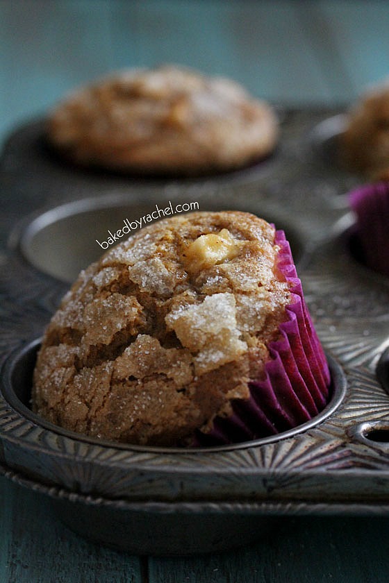 Apple Pumpkin Gingerbread Muffin Recipe from bakedbyrachel.com