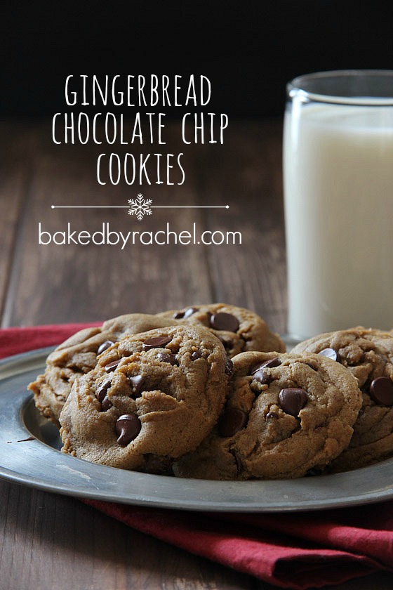 The ultimate soft batch gingerbread chocolate chip cookie recipe from bakedbyrachel.com A must make holiday cookie!