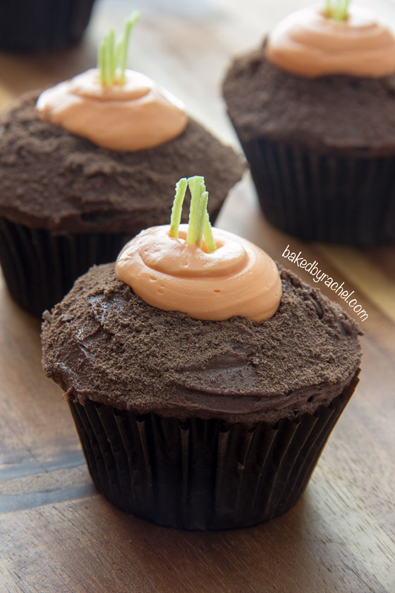Moist chocolate carrot patch cupcakes! A fun and festive Spring treat! | bakedbyrachel.com