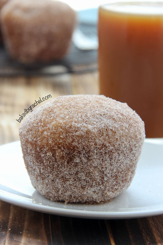 Apple Cider Donut Muffin Recipe from @bakedbyrachel