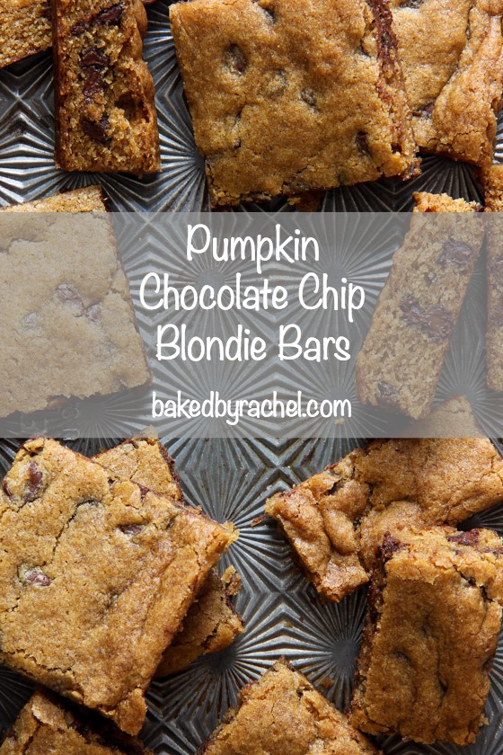 Pumpkin Chocolate Chip Blondie Bar Recipe from @bakedbyrachel An egg free recipe!