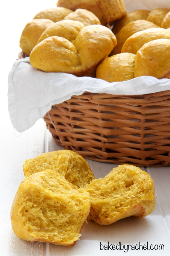 Light and fluffy pumpkin clover rolls recipe from @bakedbyrachel A perfect addition to your Thanksgiving menu!