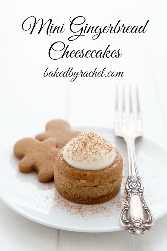 Mini gingerbread cheesecake recipe from @bakedbyrachel The perfect bite sized holiday dessert!