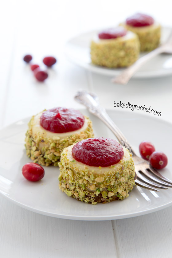 Mini cranberry pistachio cheesecake recipe from @bakedbyrachel A festive two bite holiday dessert!