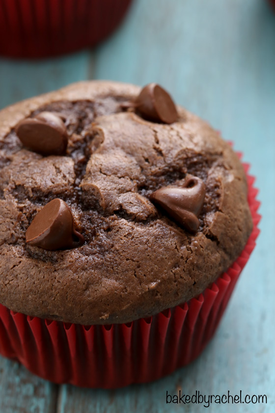 Moist double chocolate muffin recipe from @bakedbyrachel