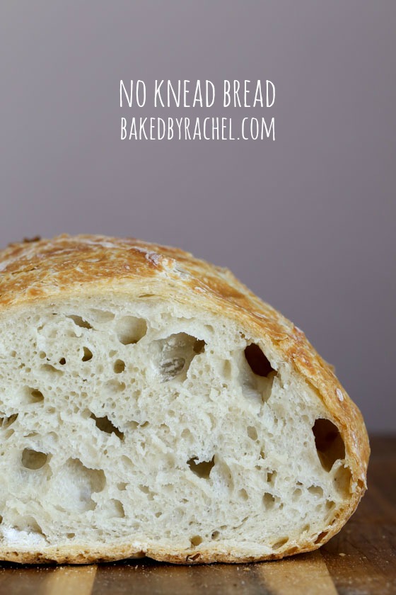 Easy homemade crusty no knead bread recipe from @bakedbyrachel