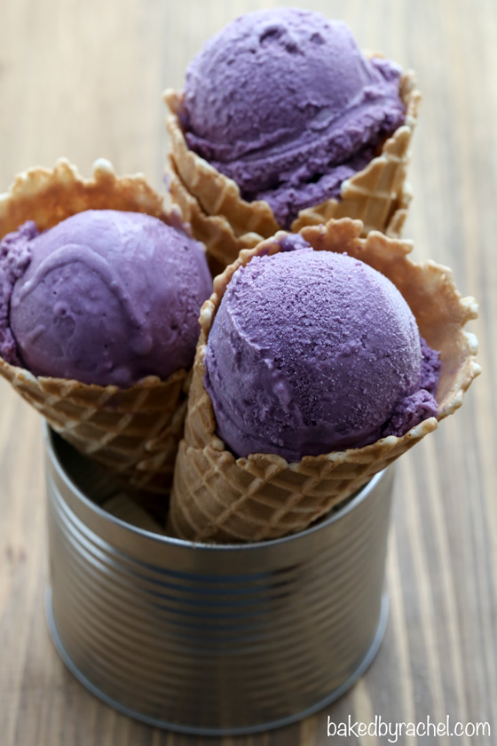 Creamy homemade blueberry ice cream recipe from @bakedbyrachel