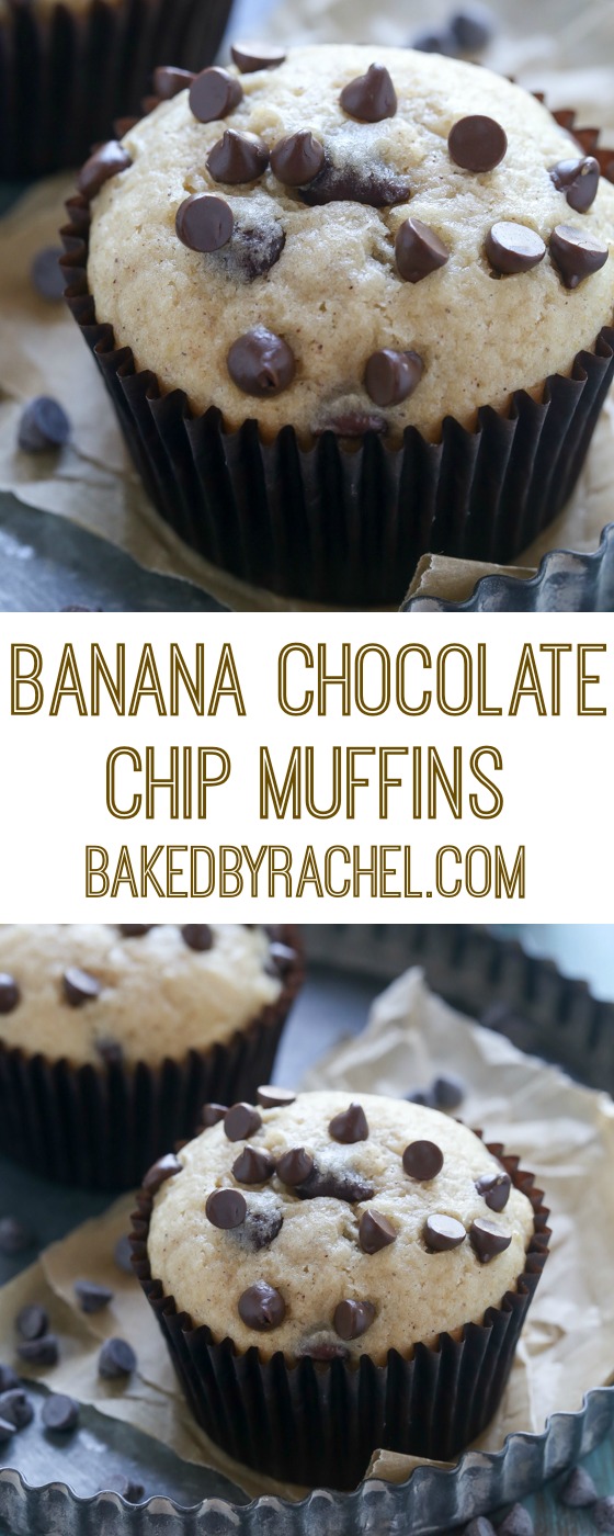 Moist homemade banana chocolate chip muffin recipe from @bakedbyrachel
