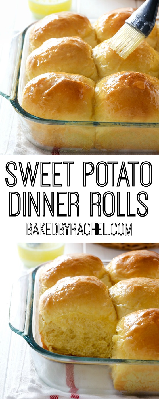 Fluffy sweet potato dinner roll recipe from @bakedbyrachel A great addition to any holiday meal! 