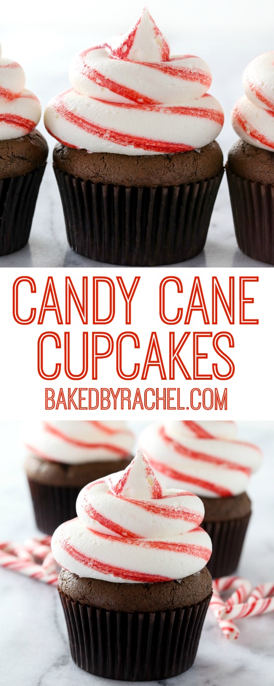 Chocolate candy cane cupcakes with striped peppermint buttercream frosting recipe from @bakedbyrachel