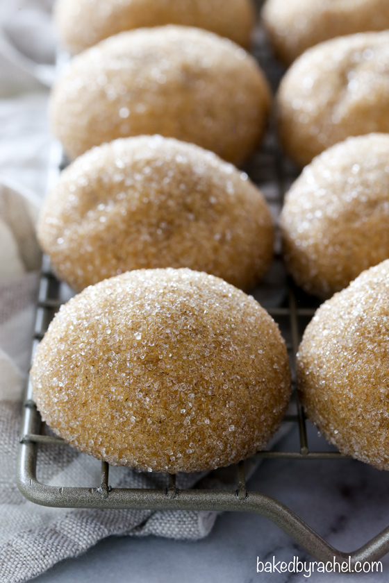 Soft and chewy sparkling gingerbread cookie recipe from @bakedbyrachel