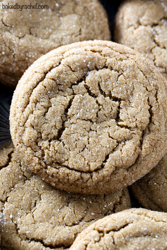 Classic soft and chewy spiced ginger molasses cookie recipe from @bakedbyrachel 
